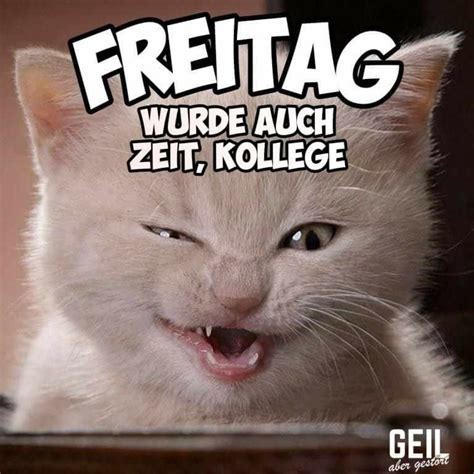 freitag gifs lustig|lustige pfp mit tastatur.